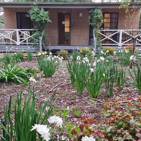 Barossa Country Cottages Lyndoch Екстериор снимка