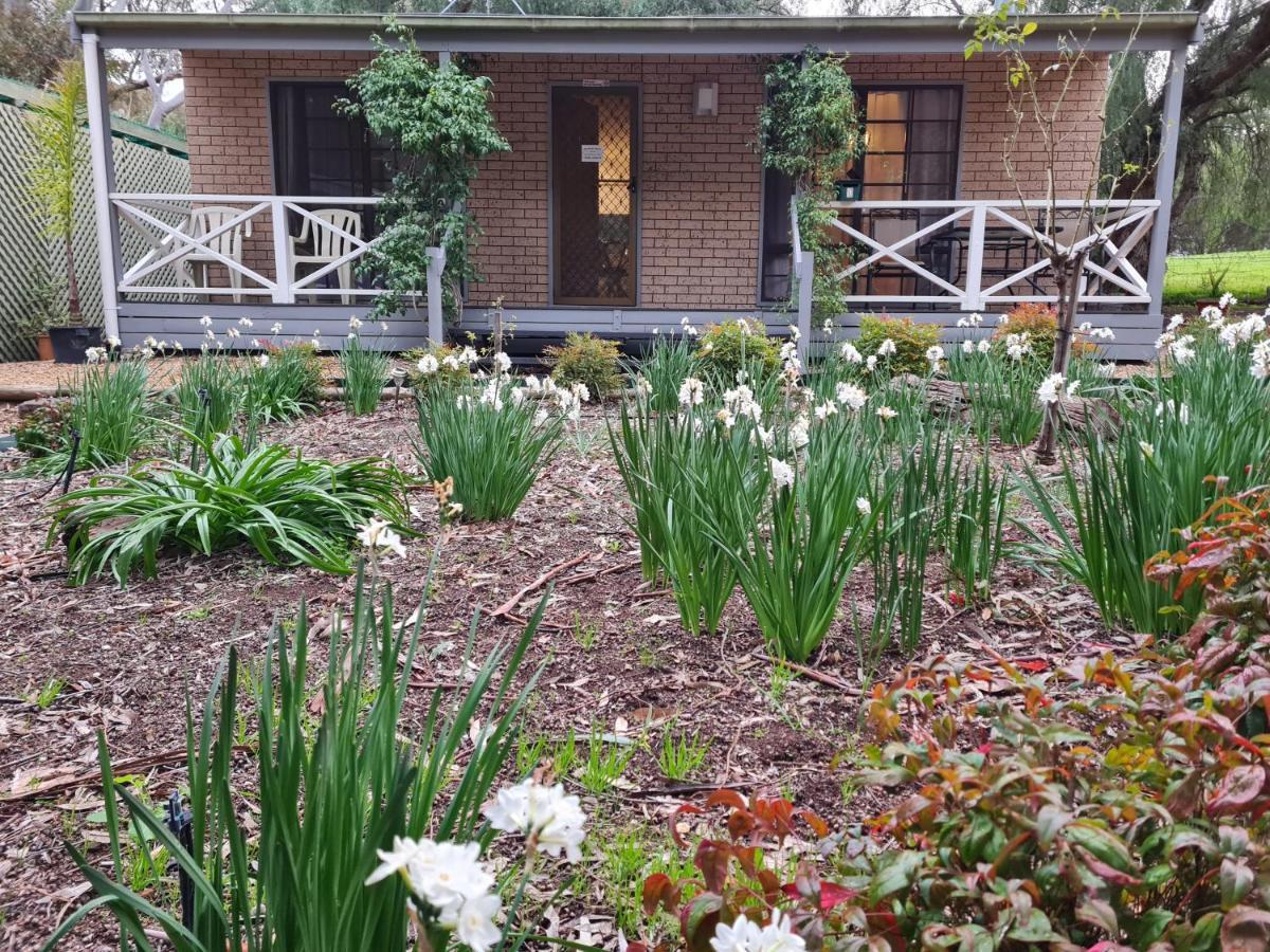 Barossa Country Cottages Lyndoch Екстериор снимка