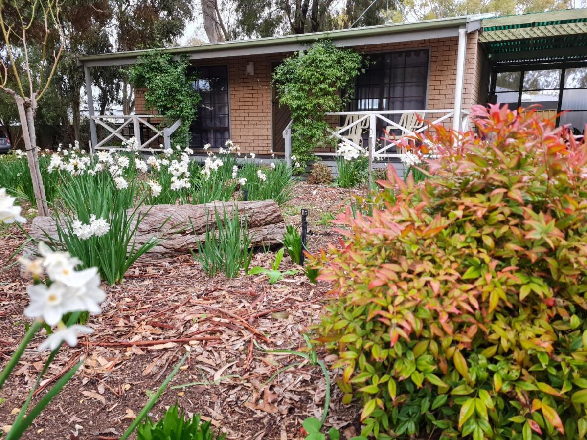 Barossa Country Cottages Lyndoch Екстериор снимка